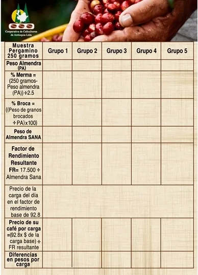 Pendón de análisis del café para su comercialización