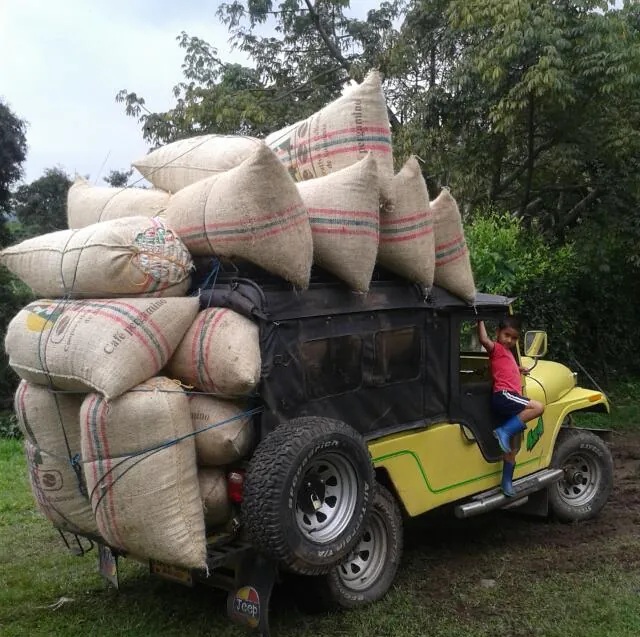 Material de capacitación sobre almendra sana del café