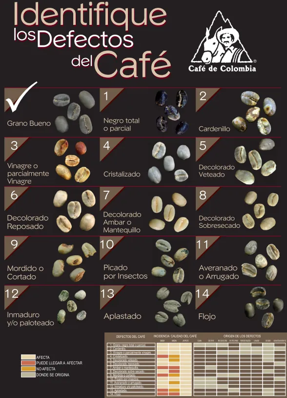 Material de capacitación sobre defectos del café