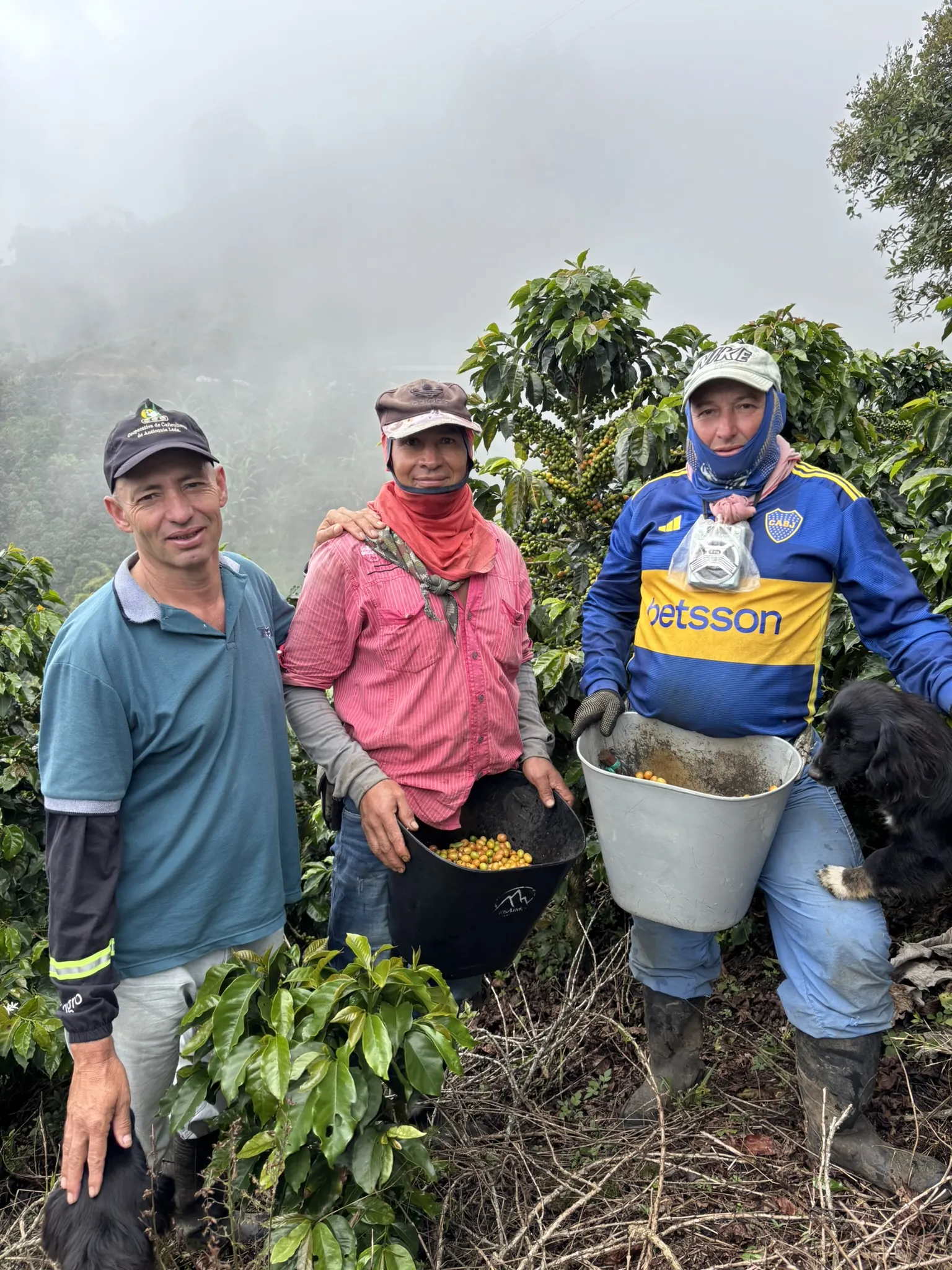 Caficultores en los cafetales de la finca El Pino
