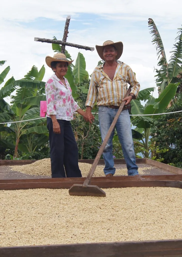 Calidades del café pergamino seco: clasificación oficial de la Cooperativa