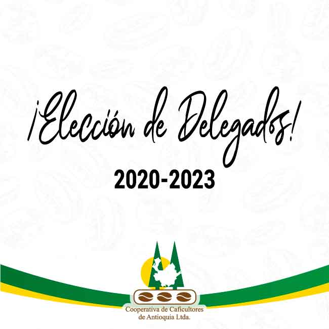 Elección de Delegados 2021-2023 (Reglamento)