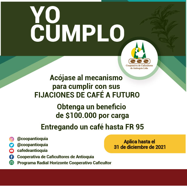 YO CUMPLO