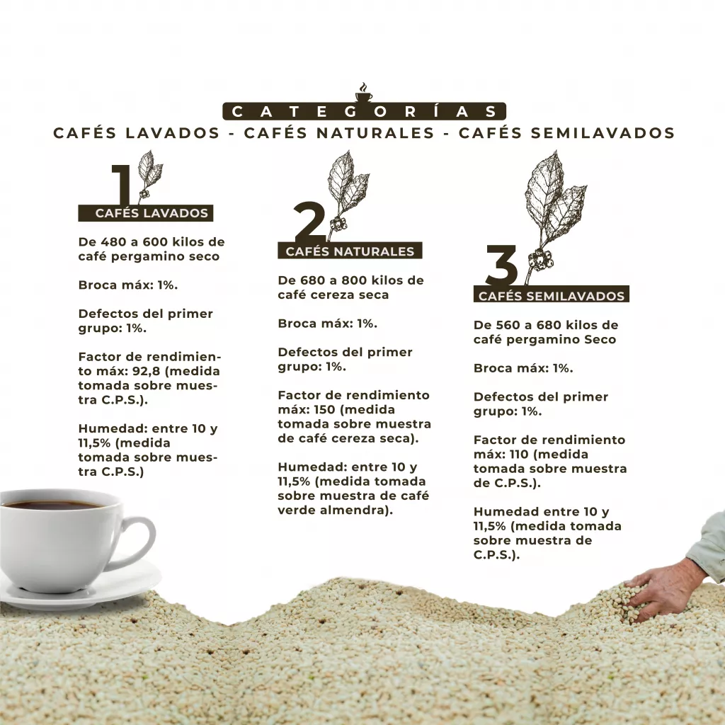 Concurso de Taza de Café de Antioquia