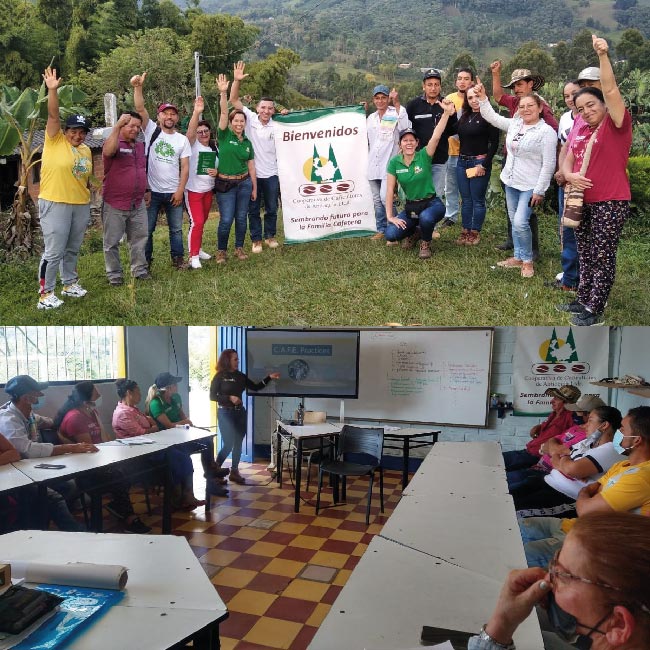 Actualización Norma de Verificación C.A.F.E Practices _ Análisis y nutrición de platas.
