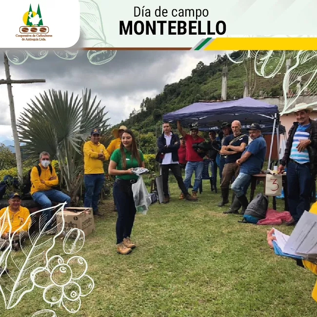 Día de campo para caficultores del municipio de Montebello