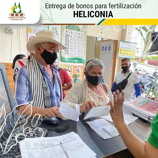 Entrega de bonos para fertilización de cafetales Heliconia.