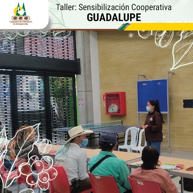 Sensibilización Cooperativa - Guadalupe