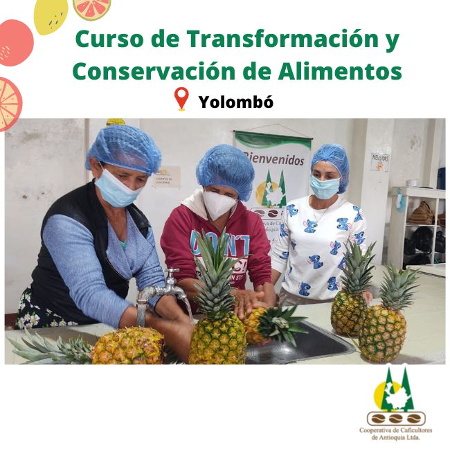 Curso de transformación y conservación de frutas y verduras: Yolombó