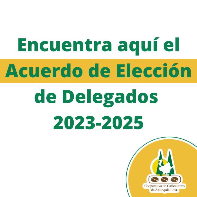 Reglamento: Elección de delegados 2023 – 2025