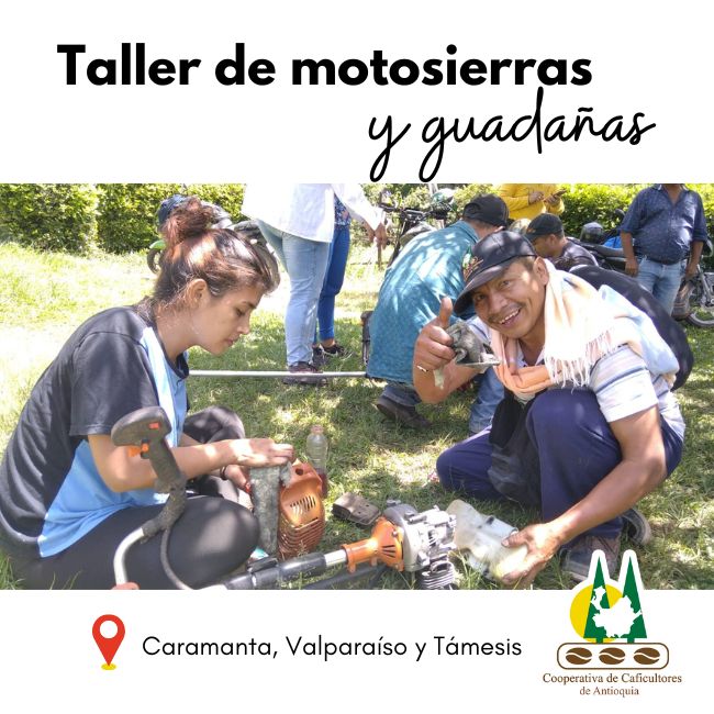 Talleres de mecánica agrícola: reparación y mantenimiento de guadañas y motosierras