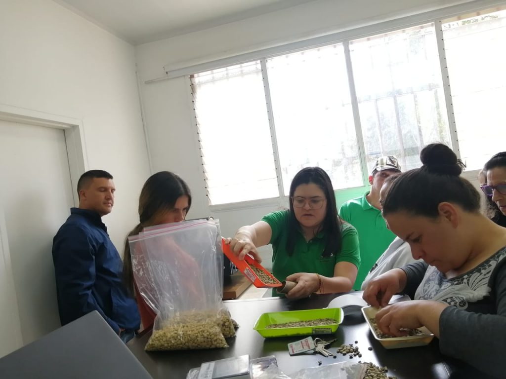 Taller de tostión: Sonsón
