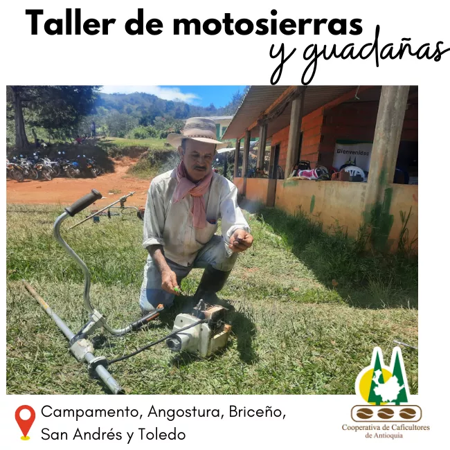 Reparación y mantenimiento de guadañas y motosierras: Campamento, Angostura, Briceño, San Andrés y Toledo