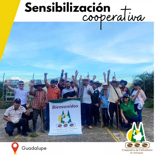 Sensibilización Cooperativa: Guadalupe