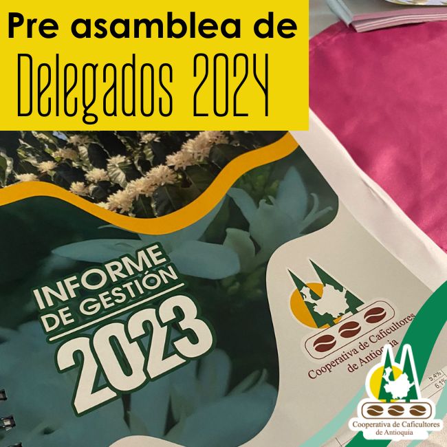 Pre Asamblea de Delegados 2024