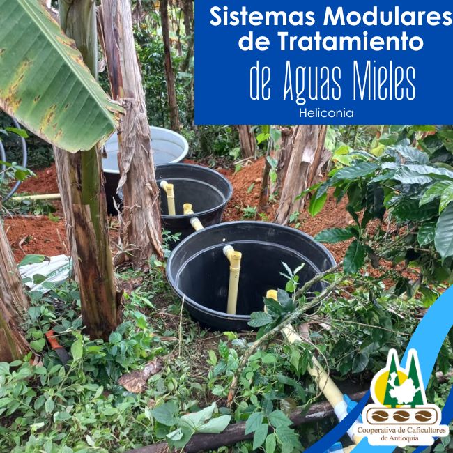 Instalación de Sistemas Modulares de Tratamiento de Aguas Mieles (SMTAM): Heliconia