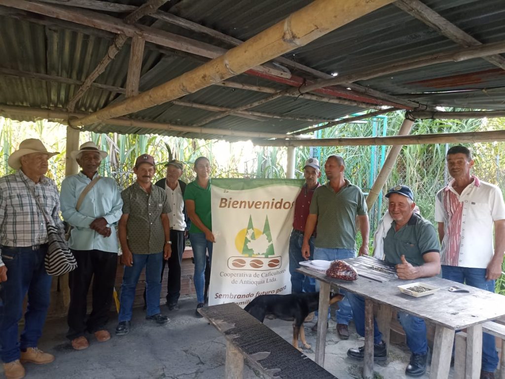 Certificación Q Grader Arabica