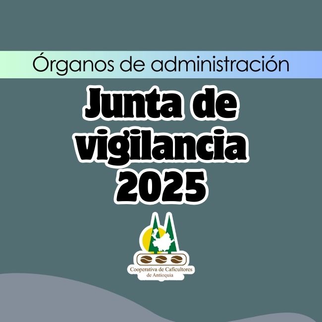 Junta de vigilancia 2025