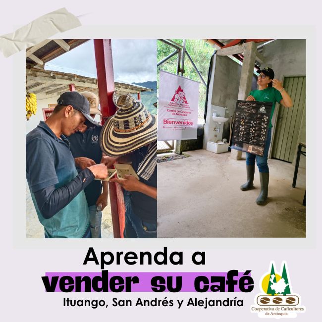 Aprenda a vender su café: Ituango, San Andrés y Alejandría
