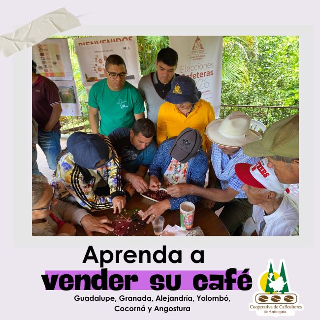 Aprenda a vender su café: Guadalupe, Granada, Alejandría, Yolombó, Cocorná y Angostura