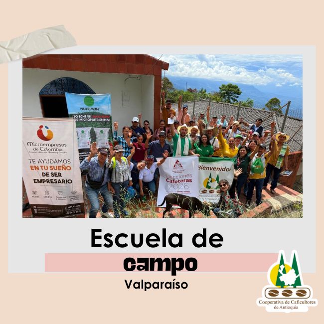Escuela de campo: Valparaíso