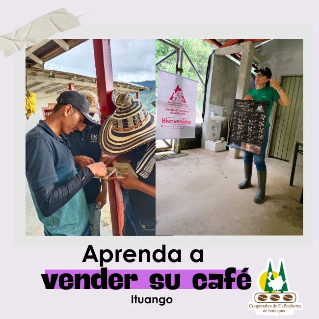 Aprenda a vender su café: Ituango, San Andrés y Alejandría