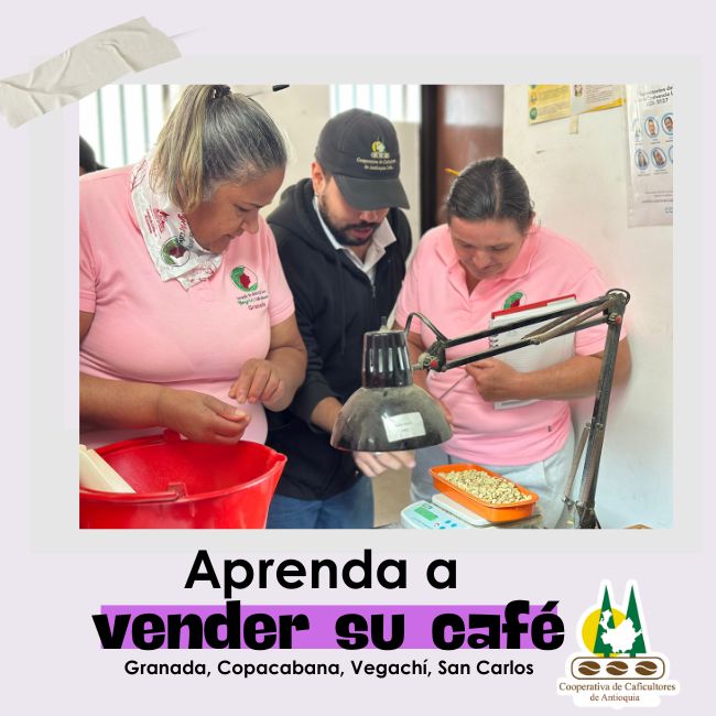 Aprenda a vender su café: Granada, Copacabana, Vegachí y San Carlos