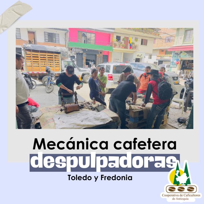 Mecánica cafetera: Despulpadoras: Toledo y Fredonia