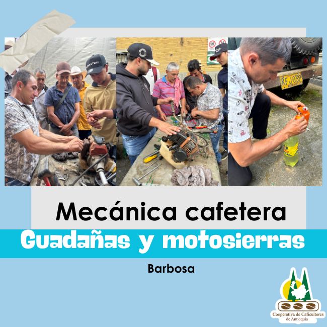 Mecánica cafetera: Guadañas y motosierras: Barbosa