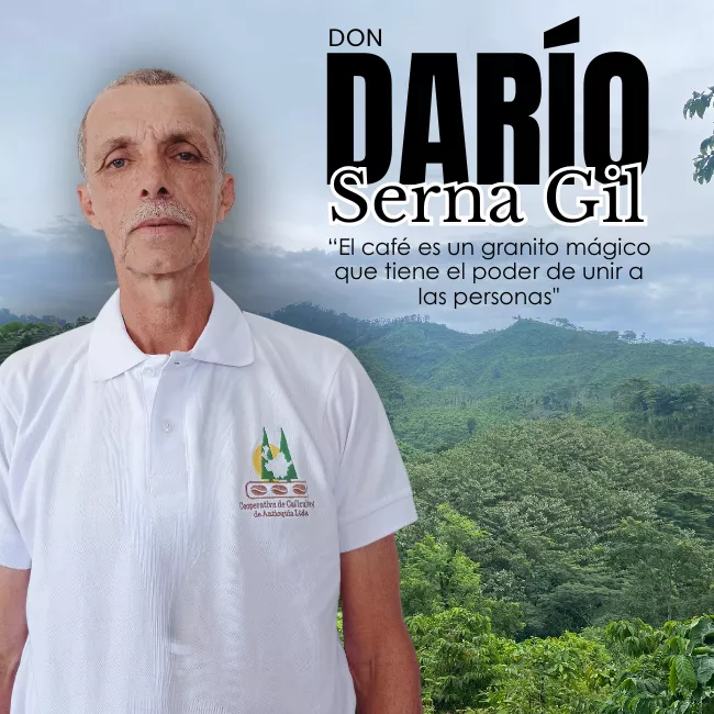 Don Darío Serna Gil: sembrando liderazgo y esperanza para más 11 mil familias cafeteras