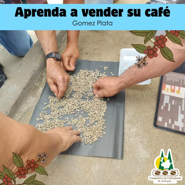 Aprenda a Vender su Café: Gómez Plata